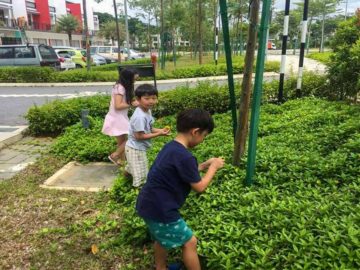 students picking leaves in a park